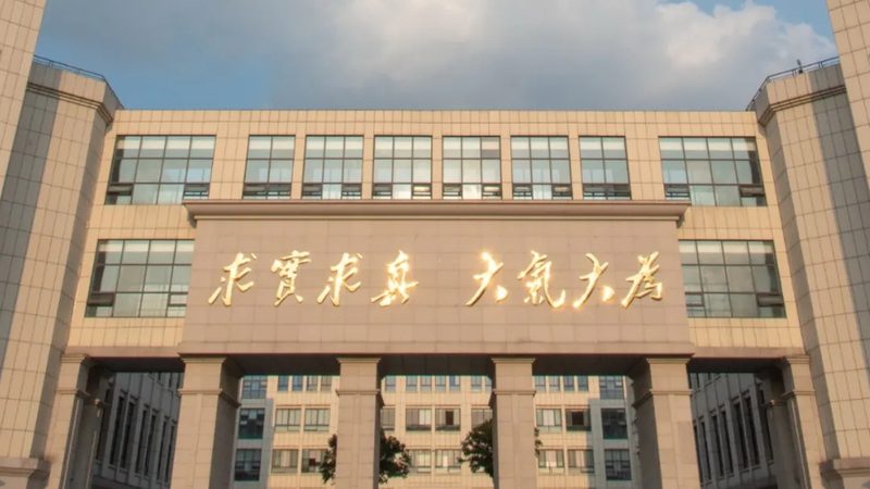 国产芯片崛起，如何甄别靠谱厂家？**