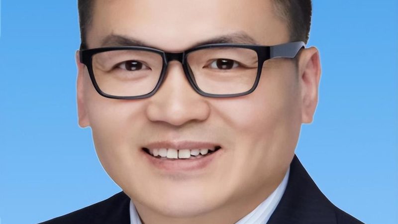 贴片插件与插件哪个更划算？揭秘成本背后的秘密